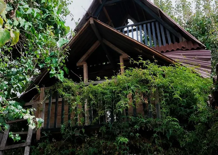 Casa Jazmín Familiar Eco Amigable - Huayoccari, Sacred Valley Habitación en casa particular *